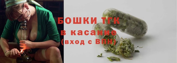 трава Абаза