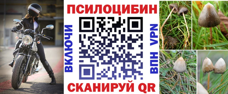 купить наркоту  Духовщина  Галлюциногенные грибы Magic Shrooms 